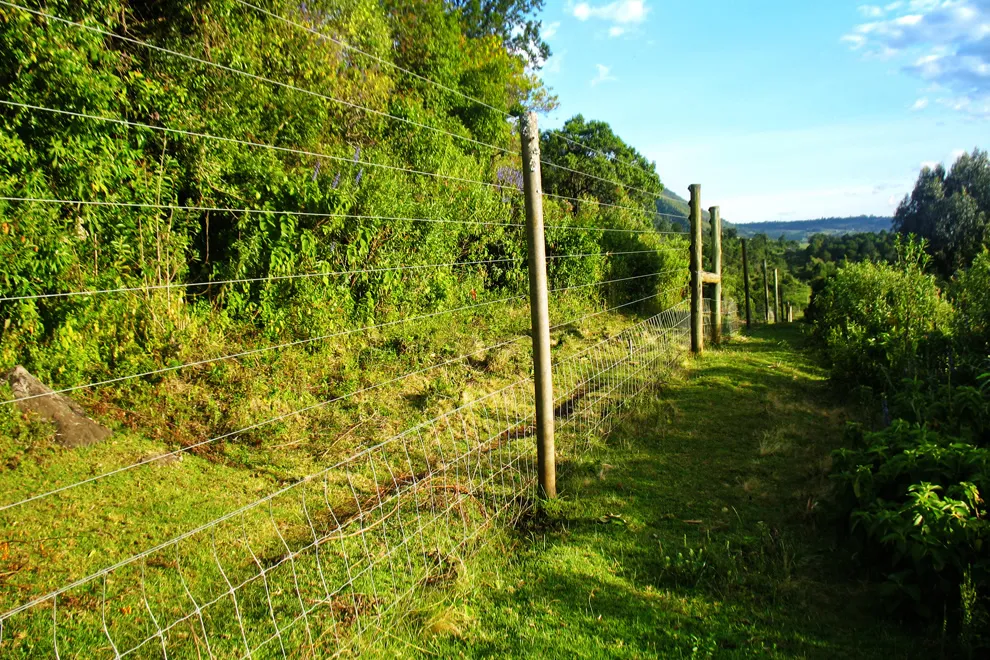 Fence Sensor